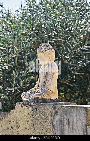 La fête du Vesak est l'anniversaire de Bouddha. Petite statue de Bouddha sur clôture dans le jardin d'oliviers Banque D'Images