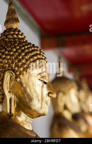 Rangée de statues de Bouddha d'or au temple Wat Pho, Bangkok, Thaïlande. Banque D'Images