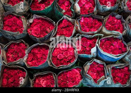 Exposition de fleurs rouges sur le marché aux fleurs de Pak Khlong Talat à Bangkok, Thaïlande. Banque D'Images