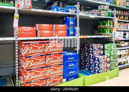 Budweiser et autres bières à vendre sur les étagères au supermarché Asda Banque D'Images