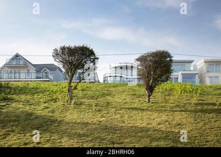 Rangée de la plage, grandes maisons modernes derrière deux petits arbres sur une rive herbeuse à Seasalter, Kent Angleterre Banque D'Images