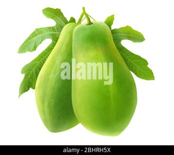 Fruits de papaye isolés. Deux papayas verts sur une branche avec des ieaves isolés sur fond blanc Banque D'Images