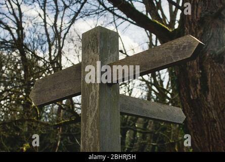 Panneau en bois traditionnel avec flèches vierges pointant dans différentes directions dans la forêt Banque D'Images