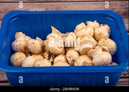 Jeunes champignons dans un plateau en plastique sur fond en bois. Gros plan Banque D'Images