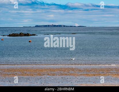 Réserve naturelle de l'île de mai pour les oiseaux de mer SNH (patrimoine naturel écossais) vue à une journée exceptionnellement claire de North Berwick. Il est à 16 miles de la mer du Nord. Le personnel vit sur l'île pendant la pandémie de Coronavirus de Covid-19, mais les débarquements habituels de bateaux de North Berwick et d'Anstruther ont été suspendus Banque D'Images