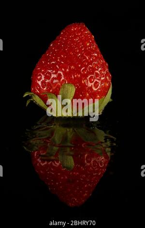 Fraises douces, tournées en studio avec deux lampes stroboscopiques sur fond noir Banque D'Images