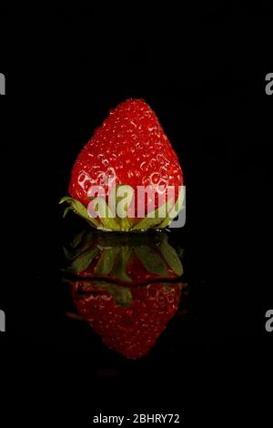 Fraises douces, tournées en studio avec deux lampes stroboscopiques sur fond noir Banque D'Images