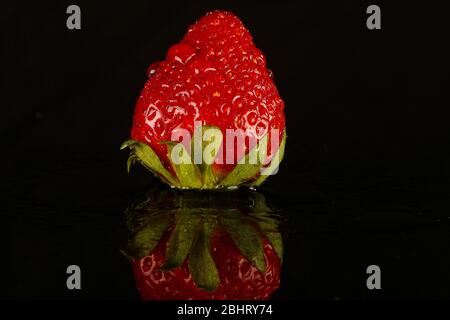 Fraises douces, tournées en studio avec deux lampes stroboscopiques sur fond noir Banque D'Images