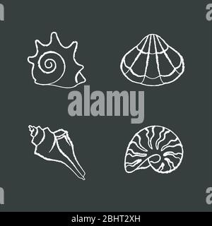 Diverses icônes blanches de craie de coquillages se définissent sur fond noir Illustration de Vecteur