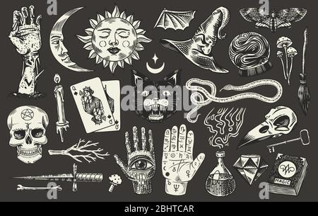 Éléments boho magiques mystiques. Ensemble astrologique sorcellerie. Esquisse ésotérique d'alchimie pour tatouage. Cartes de jeu gravées dessinées et chat noir et Palmatry. Illustration de Vecteur