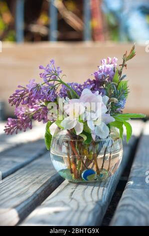 Petit bouquet de Syringa et fleurs de pomme dans un vase en verre isolé sur fond en bois. Fleurs de printemps. Extérieur Banque D'Images