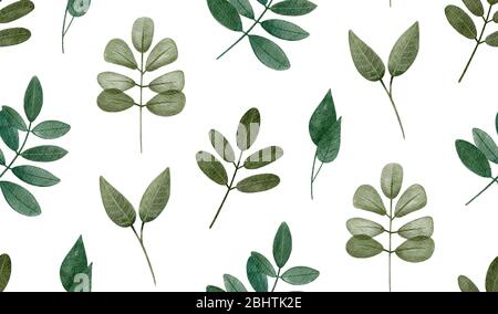 Motif feuilles vert aquarelle. ECO ornement sans coutures botanique des bois sur fond blanc. Banque D'Images