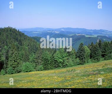 Collines boisées de la Forêt Noire (Schwarzwald), Bade-Wurtemberg, République fédérale d'Allemagne Banque D'Images