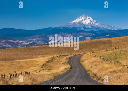 Montez le capot avec la route de montagne de Dalles qui serpente à travers les prairies du parc national historique de Columbia Hills, État de Washington, États-Unis Banque D'Images