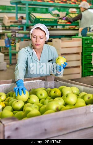 Employée féminine qualifiée en inspection uniforme de la qualité des pommes en boîte dans une usine de tri Banque D'Images