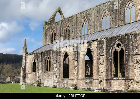 Abbaye de Tintern, Pays de Galles, Royaume-Uni Banque D'Images