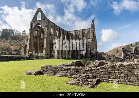 Abbaye de Tintern, Pays de Galles, Royaume-Uni Banque D'Images