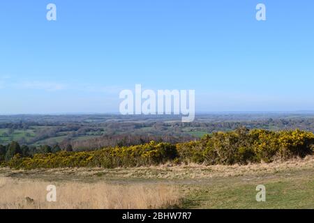 Ashdown Forest Royaume-Uni journée ensoleillée début printemps 23 mars, la veille du verrouillage à cause du coronavirus. On voit ici la sombre place d'Eeyore et le circuit de Gill Banque D'Images