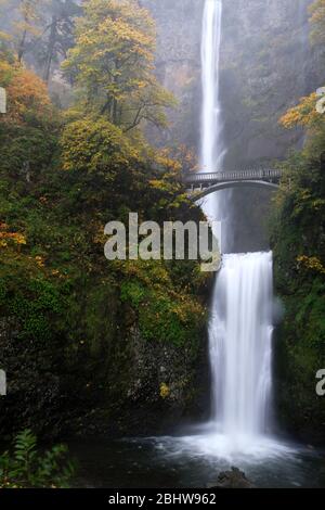 Chutes Multnomah et célèbre pont au-dessus de l'eau qui coule dans la gorge de Columbia River en Oregon en automne Banque D'Images