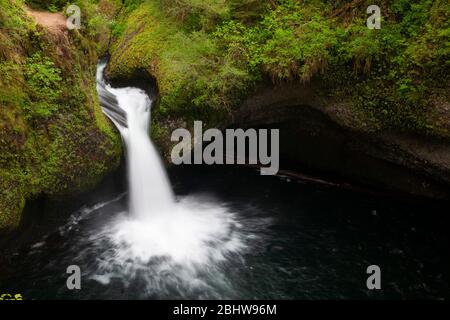 Vue sur les chutes pittoresques de Punchbowl sur Eagle Creek dans la gorge de Columbia River, Oregon, l'une des chutes d'eau les plus pittoresques de la région Banque D'Images