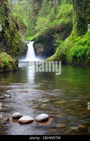 Vue sur les chutes de Punchbowl, vue du dessous à Eagle Creek dans la forêt de la zone de loisirs nationale de Columbia River gorge en Oregon Banque D'Images