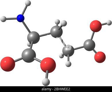 Un modèle d'acide glutamique, un acide aminé. Il a une fonction importante dans le métabolisme cellulaire et la neurotransmission. Banque D'Images