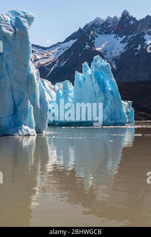 Réflexion sur le glacier gris en format vertical, parc national Torres del Paine, Patagonie, Chili. Banque D'Images