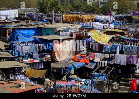 MUMBAI, INDE - 7 février 2019: Dhobi Ghat en plein air blanchisserie à côté de la station de Mahalaxmi, la plus grande de son genre dans le monde, Banque D'Images