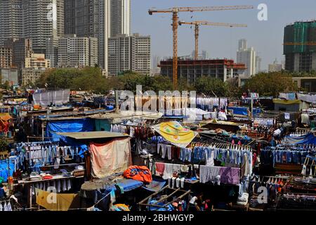 MUMBAI, INDE - 7 février 2019: Dhobi Ghat en plein air blanchisserie à côté de la station de Mahalaxmi, la plus grande de son genre dans le monde, Banque D'Images