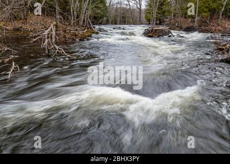 Zone de conservation des chutes Cordova Belmont Methuen Havelock Ontario Canada in été Banque D'Images