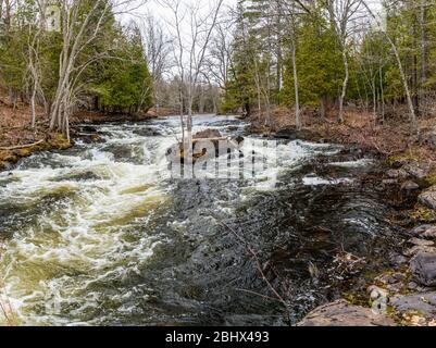 Zone de conservation des chutes Cordova Belmont Methuen Havelock Ontario Canada in été Banque D'Images