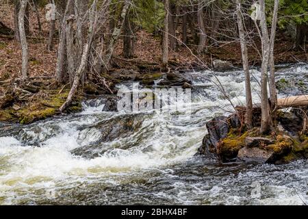 Zone de conservation des chutes Cordova Belmont Methuen Havelock Ontario Canada in été Banque D'Images