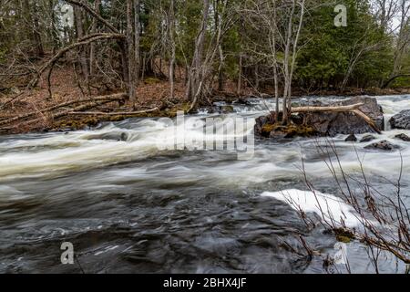 Zone de conservation des chutes Cordova Belmont Methuen Havelock Ontario Canada in été Banque D'Images