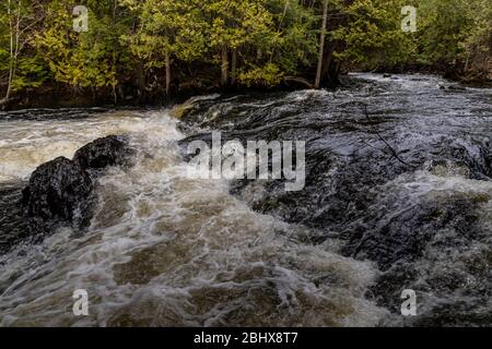 Zone de conservation des chutes Cordova Belmont Methuen Havelock Ontario Canada in été Banque D'Images