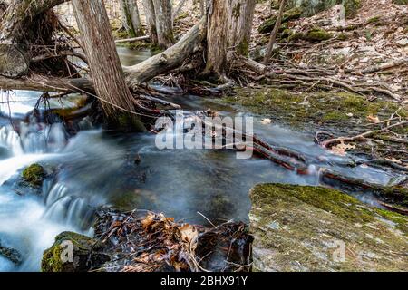 Zone de conservation des chutes Cordova Belmont Methuen Havelock Ontario Canada in été Banque D'Images