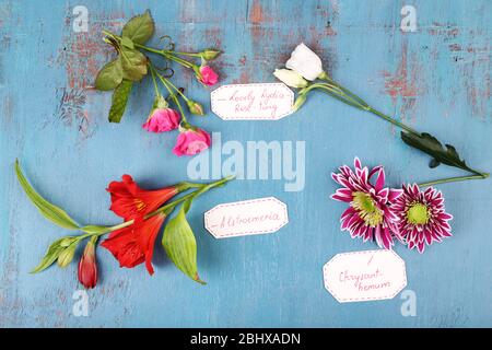 Différentes fleurs avec des étiquettes sur fond en bois Banque D'Images