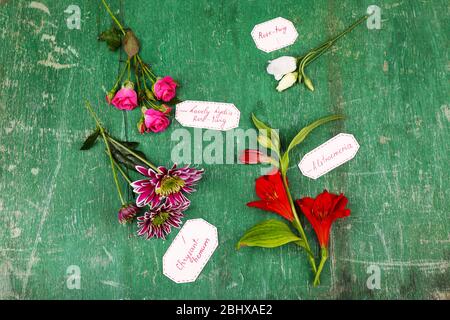 Différentes fleurs avec des étiquettes sur fond en bois Banque D'Images
