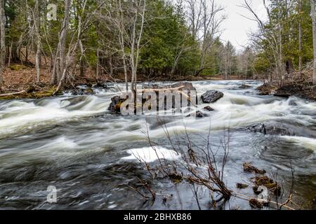 Zone de conservation des chutes Cordova Belmont Methuen Havelock Ontario Canada in été Banque D'Images