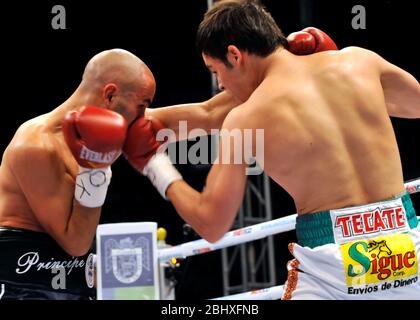 JULIO CESAR CHAVEZ VS LUCIANO CUELLO. Box lutte entre. (Photo:IsrraelGarnica/NortePhoto.com) Banque D'Images