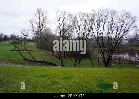 Arbres dans le champ pendant l'hiver chaud sans neige Banque D'Images