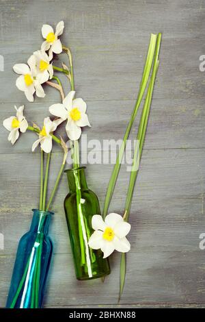 De beaux jonquilles dans des vases sur fond en bois Banque D'Images