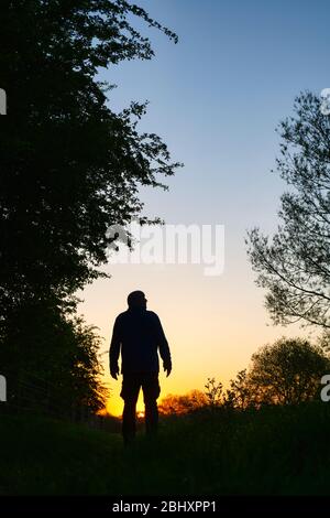 Homme marchant le long d'un chemin de remorquage près du canal d'oxford au lever du soleil. Oxfordshire, Angleterre. Silhouette Banque D'Images