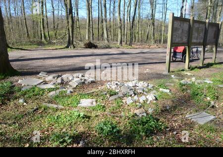 Déchets de construction illégalement déversés sur un site de stationnement dans une forêt. Banque D'Images