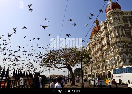 MUMBAI, INDE - 7 février 2019: Dhobi Ghat en plein air blanchisserie à côté de la station de Mahalaxmi, la plus grande de son genre dans le monde, Banque D'Images