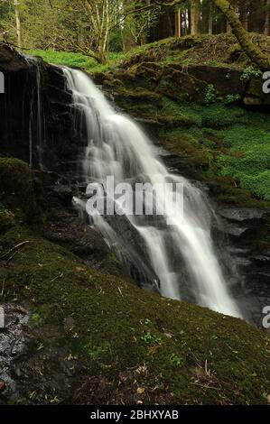 Chute d'eau avant-dernière sur le Nant Bwrefwr. Banque D'Images