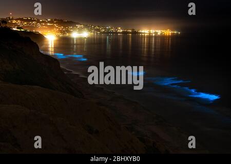 Les vagues de l'océan à Blacks Beach s'illuminent avec bioluminescence la nuit lors d'un événement de marée rouge à la Jolla, Californie. Banque D'Images