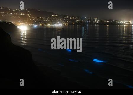 Les vagues de l'océan à Blacks Beach s'illuminent avec bioluminescence la nuit lors d'un événement de marée rouge à la Jolla, Californie. Banque D'Images