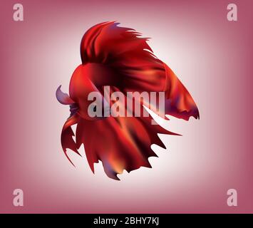 Magnifique Siamese rouge luttant contre le poisson avec des ailerons fantaisie sur fond de couleur Banque D'Images