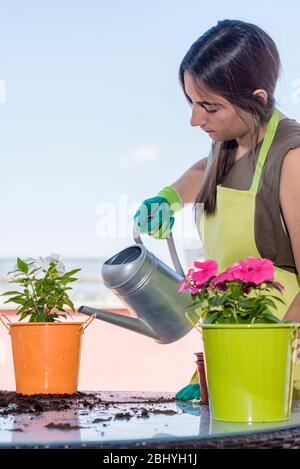 Adolescent portant un tablier de jardinage tout en arrosant une plante à la maison sur une terrasse à la maison en une journée ensoleillée Banque D'Images