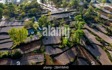 Comté de Luonan. 27 avril 2020. La photo aérienne prise le 27 avril 2020 montre les champs de poivre et de tabac couverts par le paillis en plastique dans le canton de Shimen dans le comté de Luonan, dans le nord-ouest de la province de Shaanxi en Chine. Crédit: Tao Ming/Xinhua/Alay Live News Banque D'Images